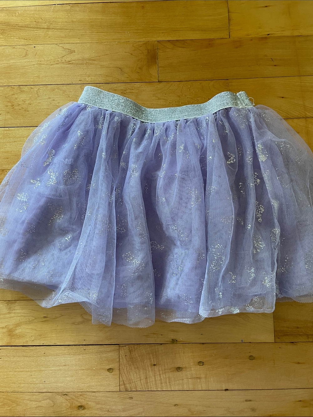 Extremely Me Purple Tulle Skirt, Size 5/6